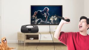 ZEALOT P1 40W Wireless Bluetooth Speaker with Microphone Portable Powerful Stereo Waterproof Sound Box Karaoke Outdoor