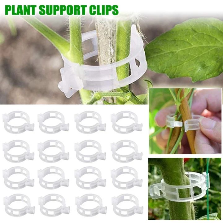 Plant Clips Supports Reusable Plastic Connects Fixing Vine Tomato Stem