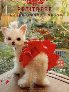 Huakui Maltese Tang Suit Yorkshire Cheongsam Spring and Summer Kitty Wedding Dress Dog Princess Skirt