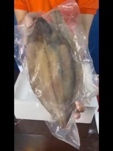 HCM - Cá lưỡi trâu nguyên con Hải Sản Đông Lạnh Canada Sản Phẩm Hữu Cơ Sức Khỏe Cá Lưỡi Trâu Jade Tiger Abalone - Lazada