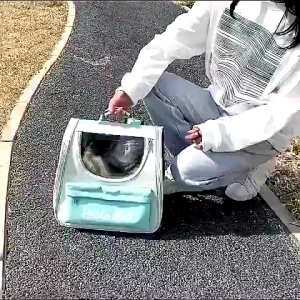 CAT Tas Ransel Kucing - Pet Travel Bag Carrier Bag Desain Astronot