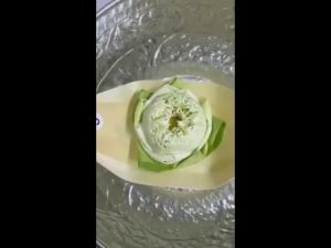 พร้อมส่ง จานเปลือกไม้ ถาดทรงเรือ จานเรือเยื่อไม้ จานทาโกยากิ หลายขนาด ใช้แล้วทิ้ง 50ใบ/แพ็ค ปลอดภัย ไม่มีกลิ่น