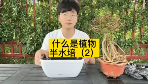 White Pot Self Watering Pot with water level Indicator self watering pot Flower pot