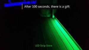 220V RGB Strip Light Smart Bluetooth LED Strip Light Remote Control Changing Color Dimmable Light Strip Super Bright Double Row RGB Light Strip Ceiling Home Decoration