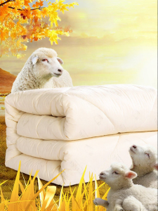 FUANNA (富安娜) | Warm Wool Quilt 100% Pure Australian