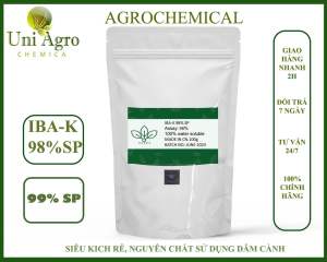 Chất siêu kích rễ IBA-K 99% SP - Tan hoàn toàn trong nước (100g)
