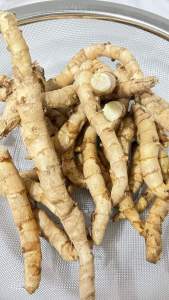 1kg NGẢI CHỐNG ĐỘC TƯƠI ( NÓI KHÔNG VỚI NGHỆ TRẮNG NHA KHÁCH)cam đoan 100% đúng hàng
