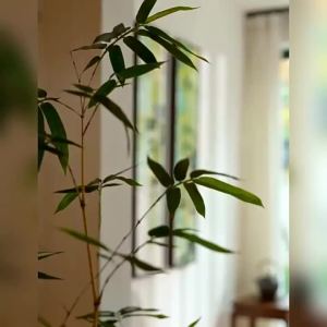 YASISHA | Ancient Style Staircase Corner Decorative Painting Green Bamboo