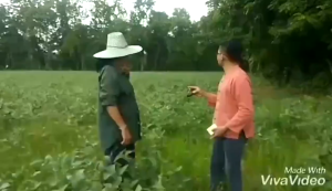 ของแท้จากโรงงาน โมซ่าส์ MOZA  1 กล่อง ฮอร์โมนบำรุงใบ–ราก สูตรเข้มข้นสูง ใช้น้อยแต่เห็นผลไว พืชฟื้นตัวเร็วมาก