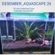 DESEMBER_AQUASCAPE26