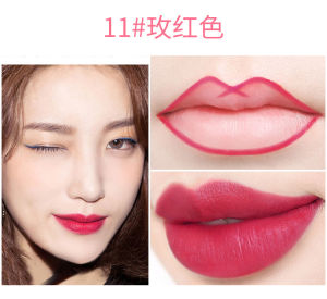 กันน้ํา Long-Lasting Lip Liner 13 สีง่ายสีลิปสติกเครื่องมือเริ่มต้นที่เป็นมิตร Non-smudging แต่งหน้าศิลปินได้รับการอนุมัติ