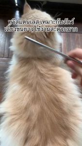 หวีสาธิตสัตว์เลี้ยงหวีสางขนแมวหวีสางขนหมาหวีสแตนเลสสัตว์เลี้ยงหวี ป้องกันการพันกันของขนสัตว์เลี้ยง
