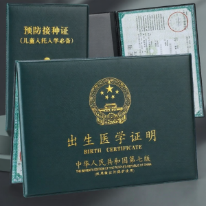 Certificate & Vaccination Booklet Protection Cover New 2024