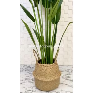 Pohon Artificial Tanaman Imitasi Daun Pisangan Heliconia T210 Latex Cover Purun Belly Medium Dekorasi Rumah Aesthetic