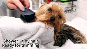 Wireless Razor for Dogs: A Comprehensive Guide to the 4 in 1 Dog Electric Clippers