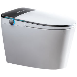 TEM | Automatic Cleaning & Drying Smart Toilet 2026 New Model