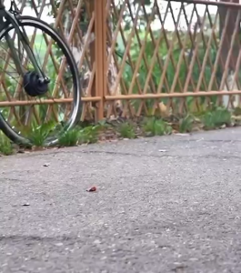 LUBU Front Rear Electric Conversion Kit bicycle modified electric booster road electric motor wheelset Mountain Folding