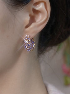 Fashionable Purple Full Diamond Circle Earrings Stylish Versatile Elegant Design Alloy Plated Silver Gold Womens Jewelry