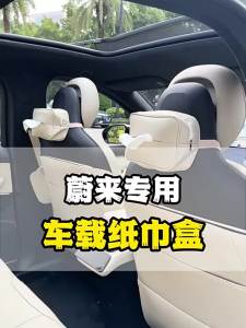 MLZH | Leather Backseat Tissue Box Holder Car Accessory