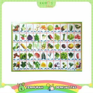 Poster Sayuran Isi 50: Alas Meja Belajar Lipat Anak & Poster Dinding