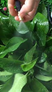 หัวพ่นหมอก ที่รดน้ำต้นไม้ สายยาง ข้อต่อหัวก๊อกน้ำ ที่รดน้ำต้นไม้