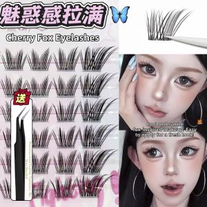 Faiccia | Charming Fox Style Black Cherry Natural Thick False Eyelashes Segmented