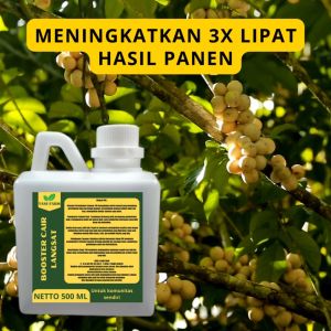 Pupuk Pelebat Langsat / Pupuk Buah Langsat / Pupuk Booster Langsat / Pupuk Langsat