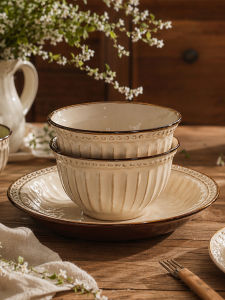 mornenjoy | Aesthetic Vintage Underglaze Color Bowls