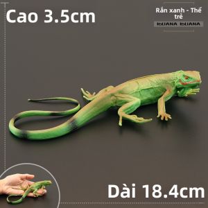 MENGSILE | Đồ Chơi Giáo Dục Nhận Thức Mô Hình Động Vật Thằn Lằn Xanh