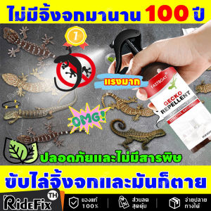🦎 จิ้งจกไม่กล้ามาอีกแล้ว 🦎 ไล่จิ้งจก ยาไล่จิ้งจก ไล่ตุ๊กแก แค่ฉีดพ่นตรงที่จิ้งจกชอบมาแค่นั้นเอง ฉีดจิ้งจก สเปรย์จิงจก ไล่จิงจก