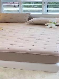 BEIPIN | Antibacterial Quilted Cotton Mattress Protector
