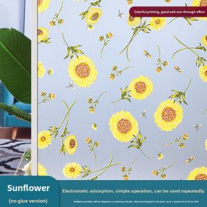 TAISEN |Sun Protection Anti-Peeping Translucent Window Film