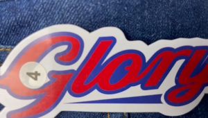 Glory Celana Pendek Jeans Anak Laki Laki Bordir Mounster Biowash