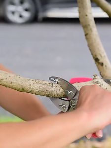 มีดตอนกิ่ง คีมตอนกิ่ง ควั่นกิ่งพร้อมปลอกเปลือกในขั้นตอนเดียว แถมฟรี! หัวน้ำหยดเซรามิคตัวรดน้ำต้นไม้อัตโนมัติ กรรไกรตอนกิ่ง ตอนกิ่ง 3ใบมีด เครื่องตอนกิ่ง ส่งด่วน