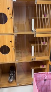 PAPAPET Cat Cage Cat Villa Multi Layer Large Solid Wood House Durable Easy to Clean Quiet Private Space For Indoor Breeding Or Pet Shop Use