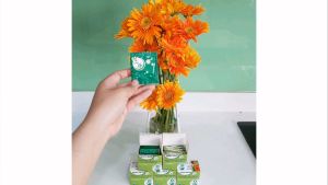 50 GÓI THUỐC CẮM HOA LÂU TÀN NHẬP KHẨU ISRAEL HIỆU LONLGLIFE LÀ  BÍ QUYẾT GIÚP HOA TƯƠI GẤP 2 LẦN VÀ 15 NGÀY KHÔNG THAY NƯƠC