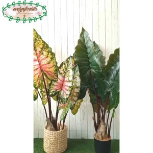 Pohon Daun Keladi Giant Taro T120 Latex Artificial Pot Dasar Hitam Plastik Cover Eceng Gondok Tanaman Hias Pajangan Rumah Aesthetic