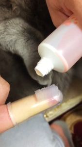 Pet Silicone Finger Toothbrush Gum Massager All Stages Adult Kitten Puppy Oral Care Pet Accessories