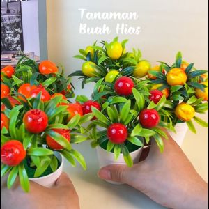 Unico PBP104 Tanaman Hias Plastik Pot Bunga Jenis Buah Buahan Lemon Delima Jeruk Berry Buatan Minimalis Artificial Fruit Plant Decoration Ornamen Tumbuhan Pajangan Ruangan Pekarangan Rumah COD