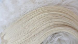 Keira Hair Extensions 100% Human Hair Bra Length in Ice Blond - Code - L16w4 - Ice Blond