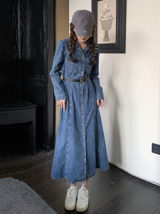 2025 Spring High Waist A-Line Dress Single Button Long Sleeve Womens Style Retro Long Dress Korean Version Commute Dress