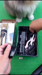 COD Yiwu Alat Cukur Elektrik Bulu Hewan Anjing Pet Grooming Recharge - C6 / Alat cukur hewan domba kambing anjing kucing / Alat cukur bulu domba kambing elektrik tanpa kabel /mesin cukur domba garut dicas yang bagus murah