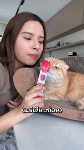 【1กล่อง 30ซอง】Lifemate Care อาหารเสริมสัตว์เลี้ยงในรูปแบบขนม เลียอร่อย สุขภาพดี ทานได้ทั้งหมาและแมว