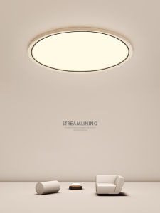 Modern Minimalist Round Indoor Lighting Fixture