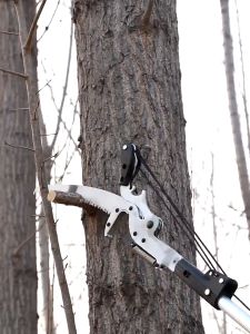 3-8M High Branch Shears Saw Telescopic High-Altitude Pruning Scissors Tree Cutter gergaji dahan