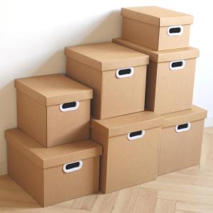 MEISITEKEKE | With Cover Document Storage Box