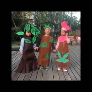 (ไทยแลนด์สปอต)ชุดต้นไม้ ดอกไม้ ชุดแฟนซีต้นไม้ อุปกรณ์ประกอบการแสดงสำหรับเด็ก มีทั้งของเด็กและผู้ใหญ่(120/140/160/170cm)