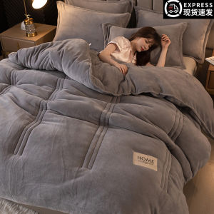 Thickened Winter Warm Milk Velvet Double Sided Flannel Coral Fleece Comforter Non Shedding Silk Cotton Core Polyester Fiber Bedding
