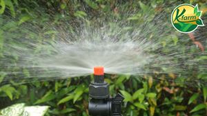 10 ชุด หัวฉีดด้านเดียว 180 องศา รูน้ำ 5 มิล รูใหญ่ ได้น้ำเยอะ หัวบิดได้ พร้อม วาล์วท่อ PE 162025 มิล สปริงเกอร์ ท่อพีอี สปริงเกอร์ท่อพีอี K FARM