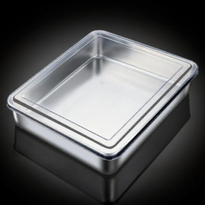 PAMPAS | Stainless Steel Rectangular Baking Mold with Transparent Lid